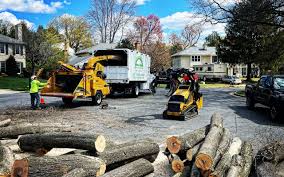 Best Fruit Tree Pruning  in White Salmon, WA